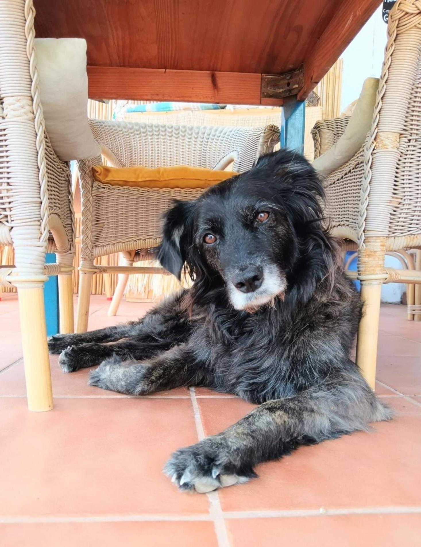 Guatiza Alma Libre Lanzarote B&B 외부 사진